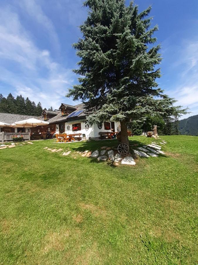 Reitbergs Nest Apartment Eugendorf Exterior photo